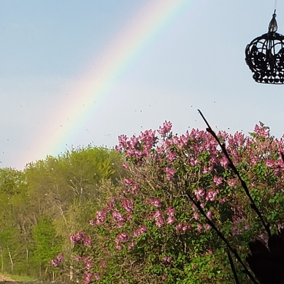 Hello I'm Meisch, 7.5 Yrs 5 Stars Trusted Ambassador - Picture 16 of 16